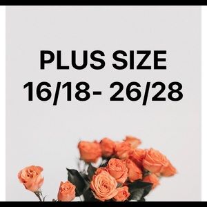 Plus size clothing! Some NWT all in EUC !